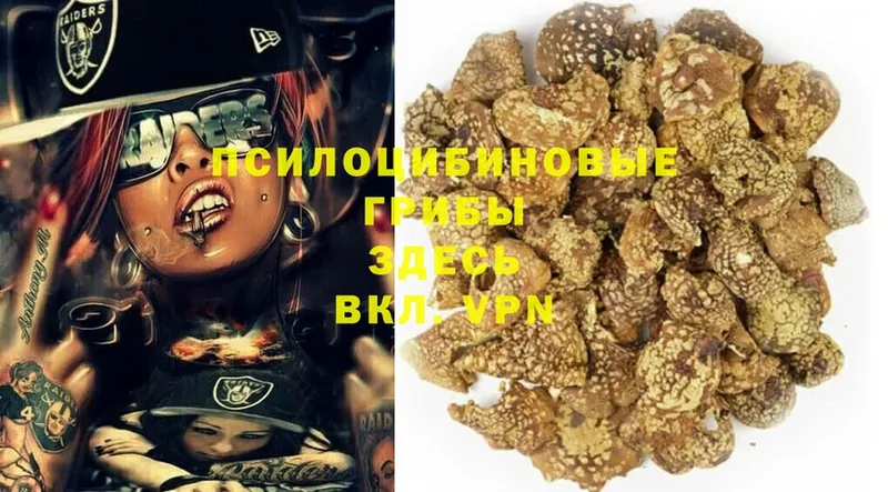 купить  цена  Белебей  Галлюциногенные грибы MAGIC MUSHROOMS 